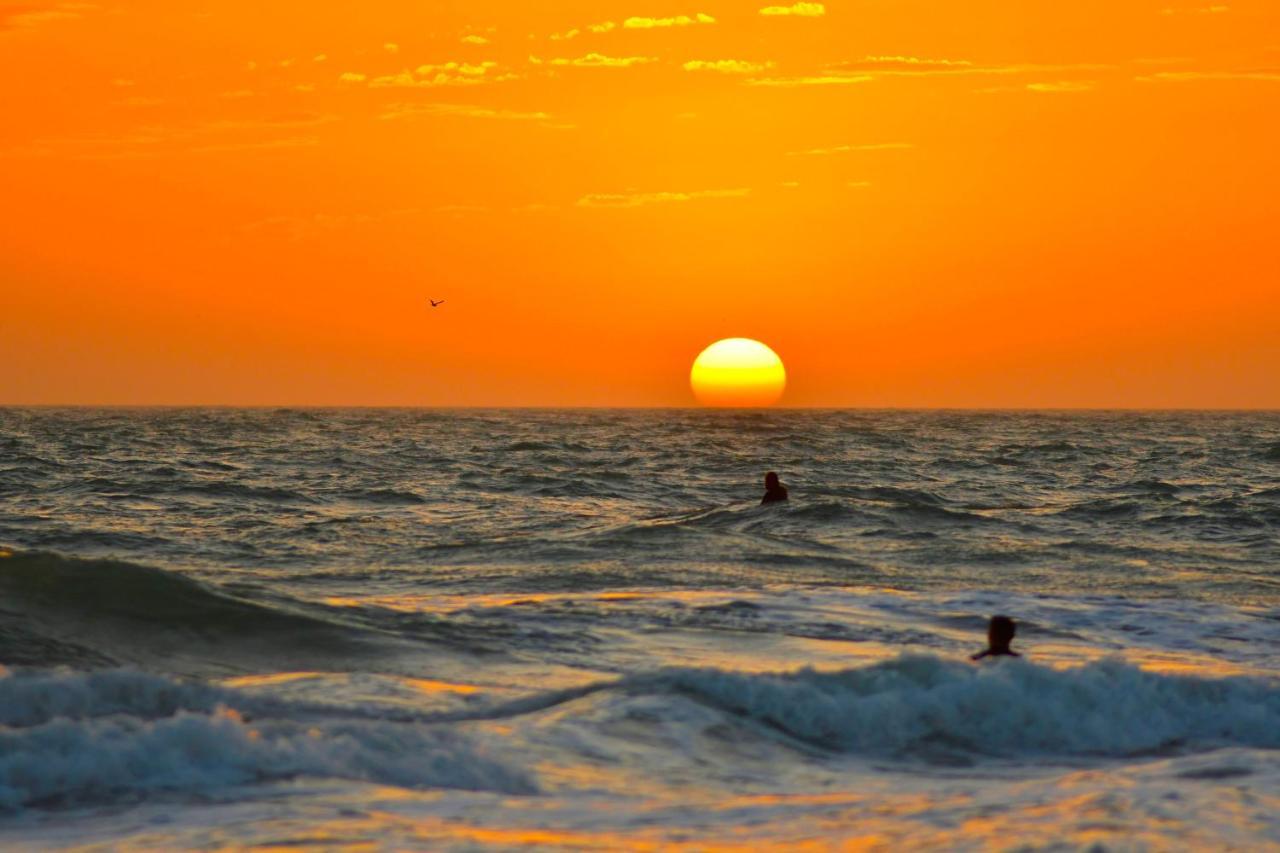 Anna Maria Island Beach Palms 6B 브레이든턴비치 외부 사진